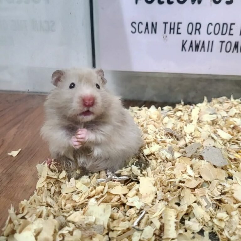 6220de8c-1489-4bf4-b215-026e94570830