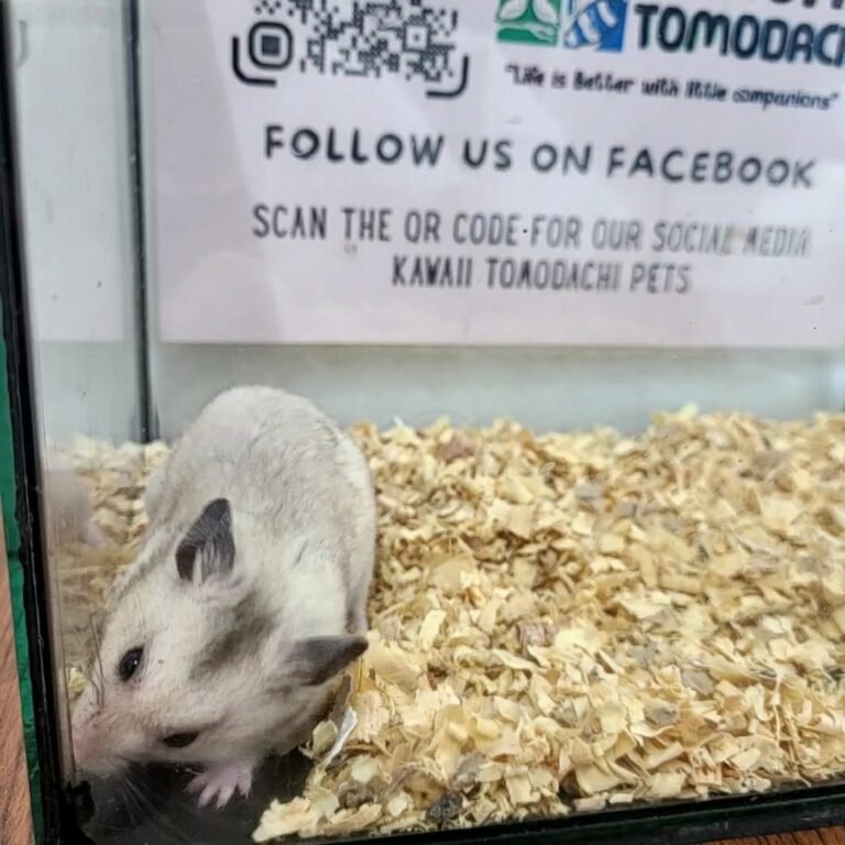 6285eb95-34d1-4390-97c7-66416bf0dbab