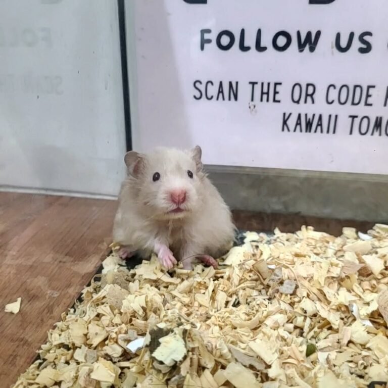 7a3c0d29-8ec7-4151-b95d-d9c997ece518