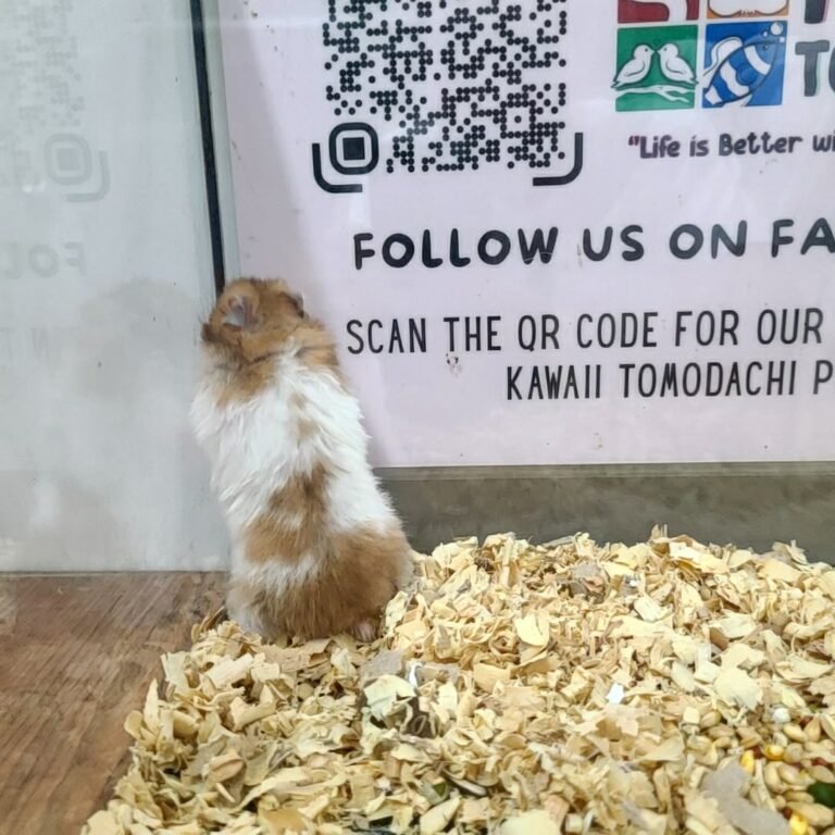 7c1a8736-3c66-4a9d-9c36-834f966af874