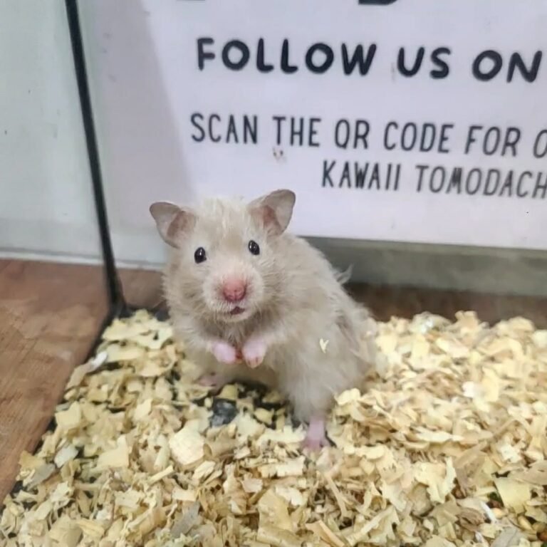 b11024bd-5eba-4eb1-8308-bcbca4fce8ef