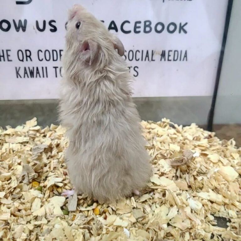 d741045f-2607-479f-b6f2-6fc25935be1a