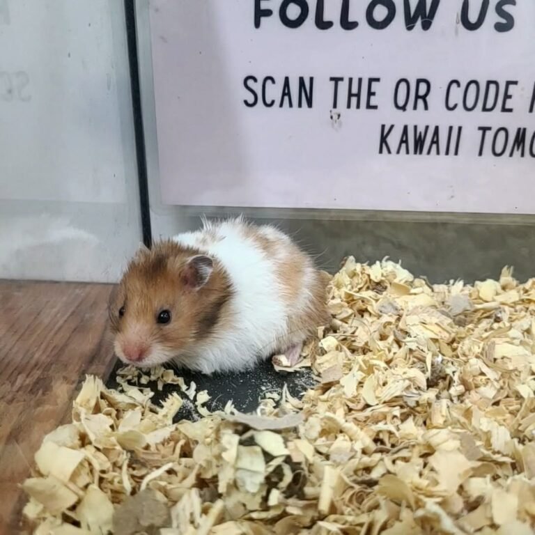 d8d5d686-0383-45ff-b867-8322842c86e7