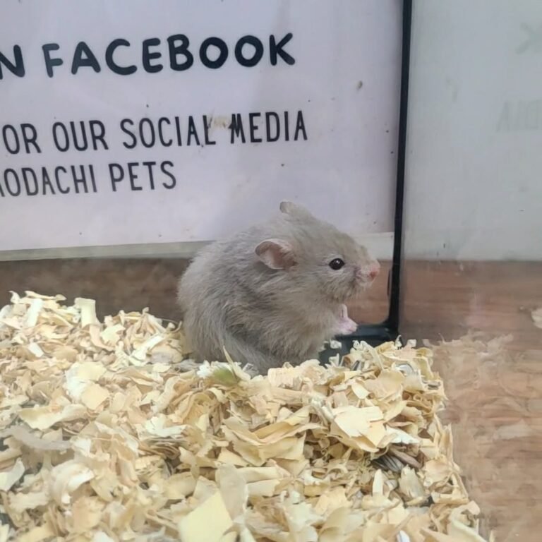 03840061-0d58-402c-926d-c7eff8a0e643