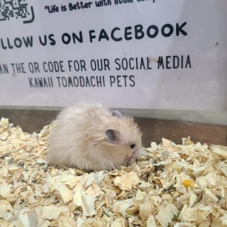 0bc1f2f2-fd82-4704-aa3f-1b778f7f45fe