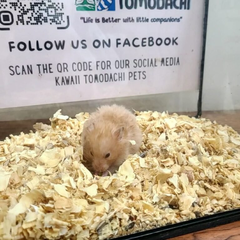 0f258928-7402-41c9-bd33-528189e63d21