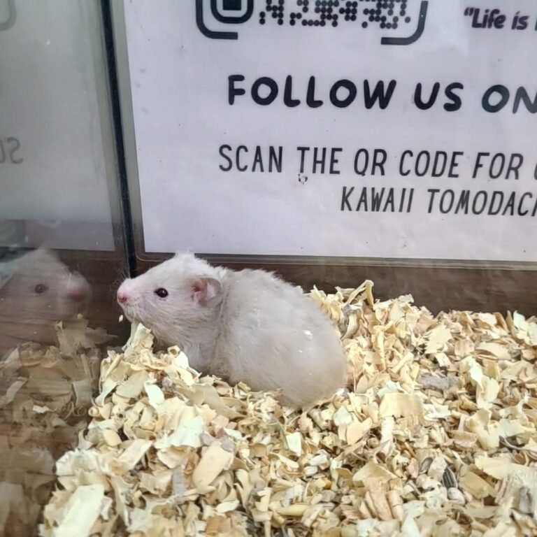 11048094-2b42-45d7-ae94-1ac1cdcb6374