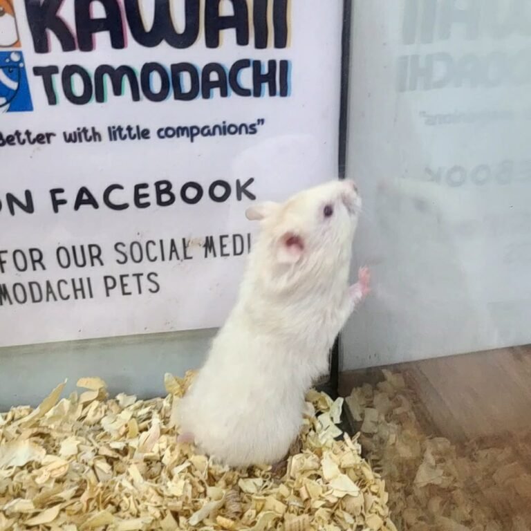 159455ae-883f-42c7-9b47-b01ef67c811d