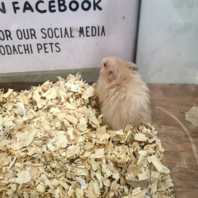 1617aad6-0fd2-402e-9ba1-a75cd5f33657