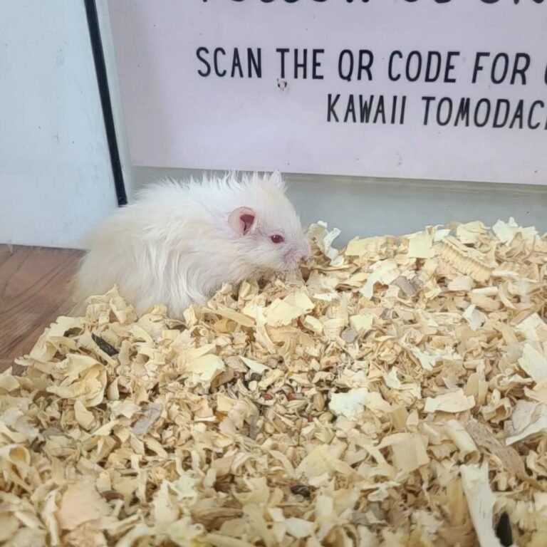 17900687-93aa-4f2a-874a-3df42b4e5687