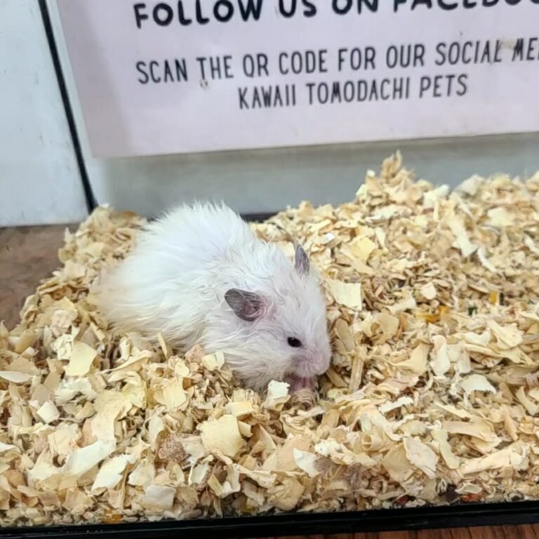 1c6bcdbf-e2b4-44fe-9cc6-56c2e3445216