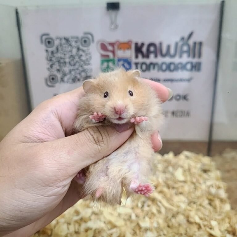 21db3d5f-987f-40ec-921c-7e05b2d96cc5