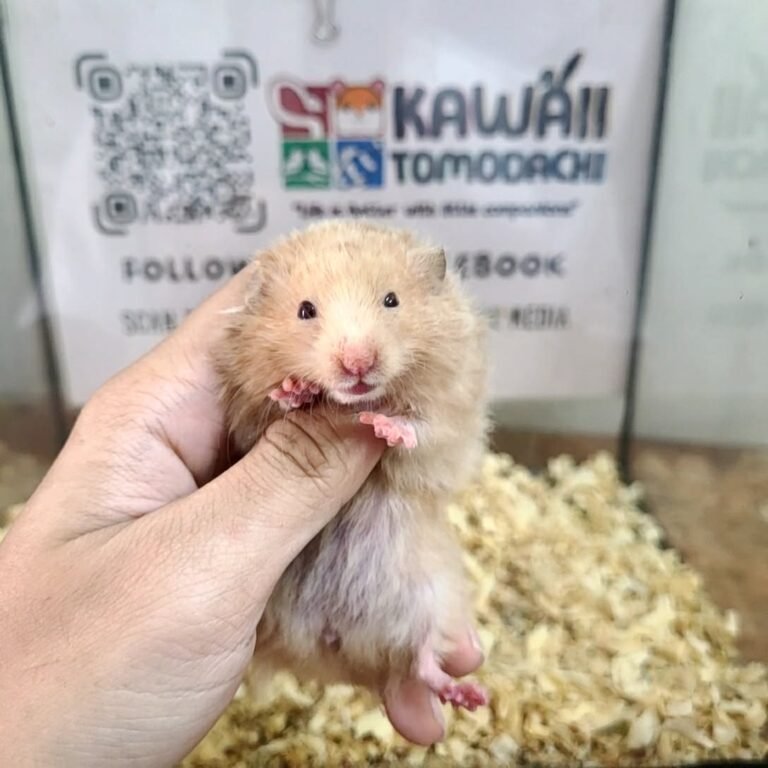 2269a843-a6bf-479f-8b3a-25c12bf3f49d