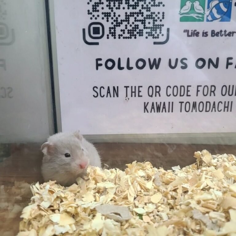 23841578-64d4-4c73-87b2-07c0903e0fa7