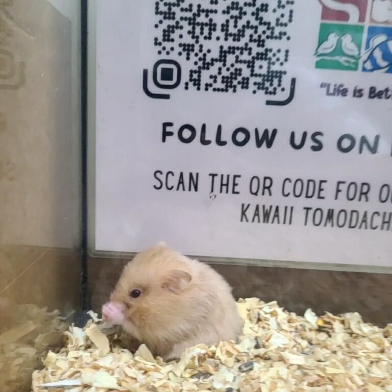 25c30f41-af10-4e2d-8793-4db3c78c8549