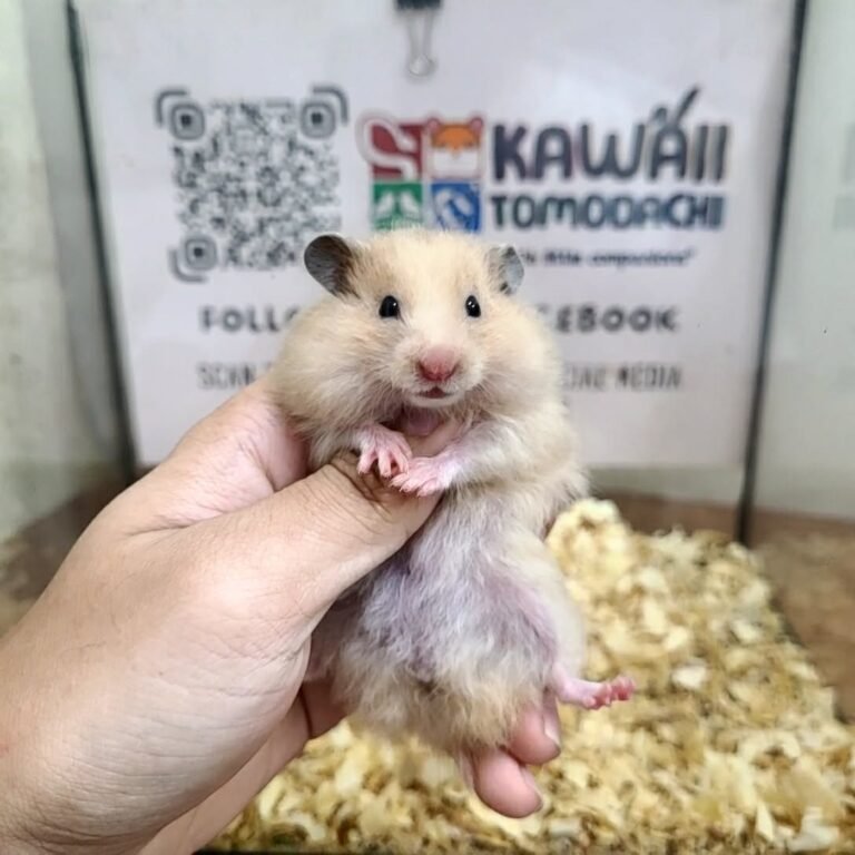 28ce9089-727b-40e3-ad39-e2925c97aa38