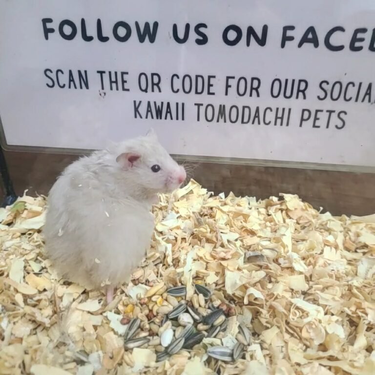 32dbf7f8-9577-497b-af9b-c61fdee7e708