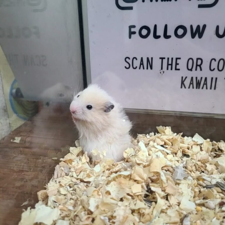 3419b651-653a-4834-862b-b9a2db84382b