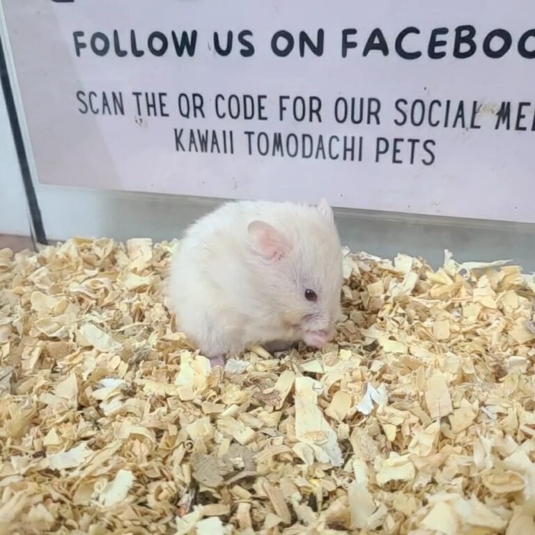 386c4c65-8af3-4db2-be56-53188ea5c2b0