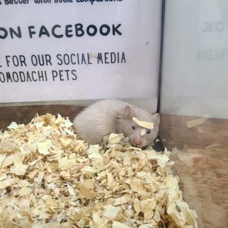 3bfa6cf4-517f-4546-8034-79b64a595e8f