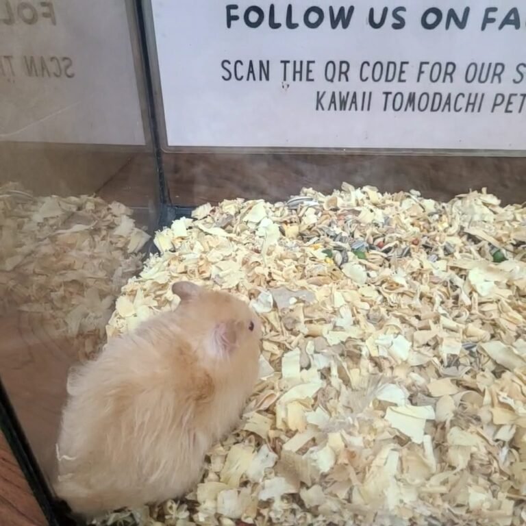 3cc46ff7-7e44-47ab-b1ff-5607e9b21e4b