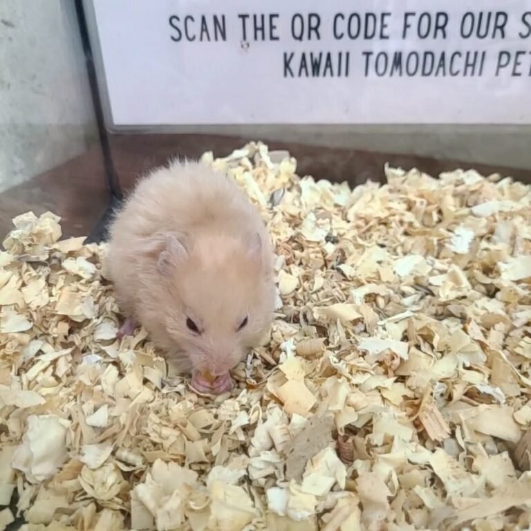 429a57fc-e045-4e6c-86cb-bf85a23c569c