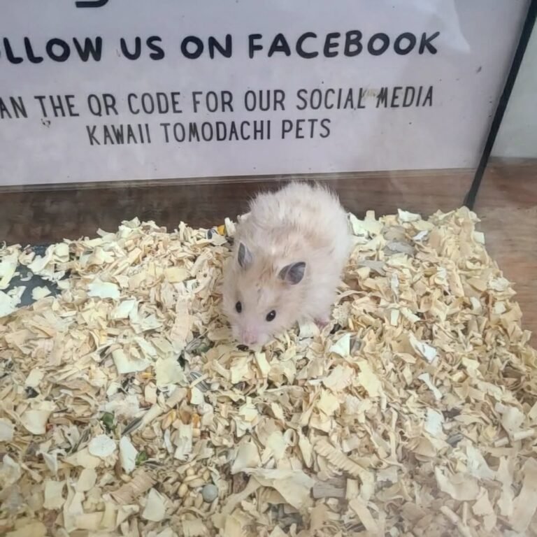 4329d692-9db8-4d35-b8a9-24fa229a90b8