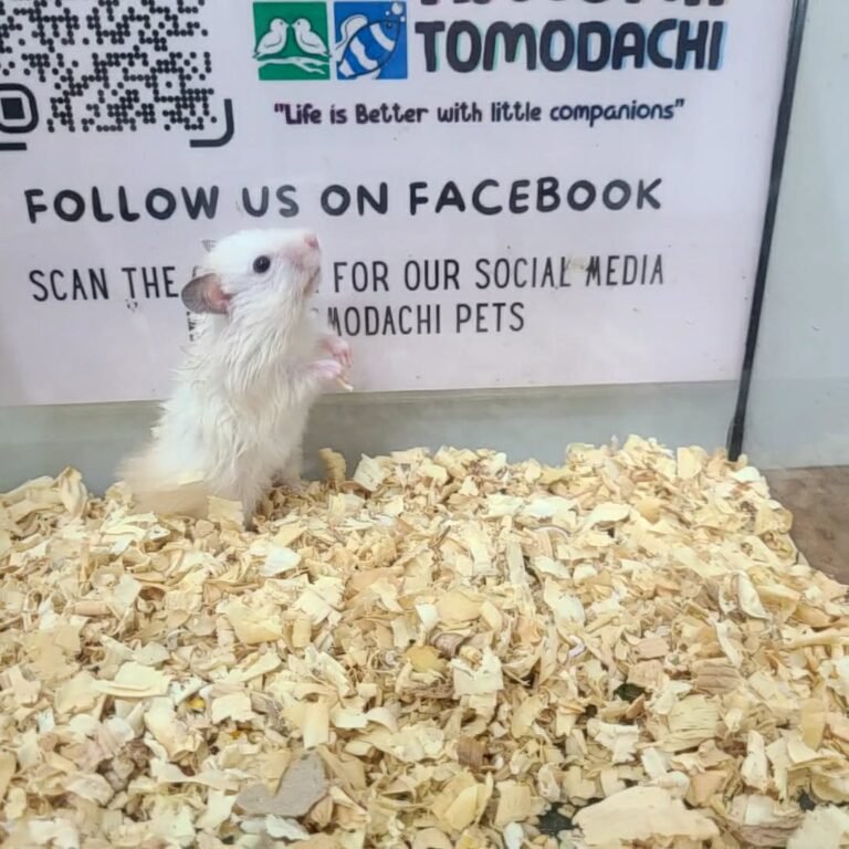 43779b17-9901-4fb4-ab26-faedd4641e63