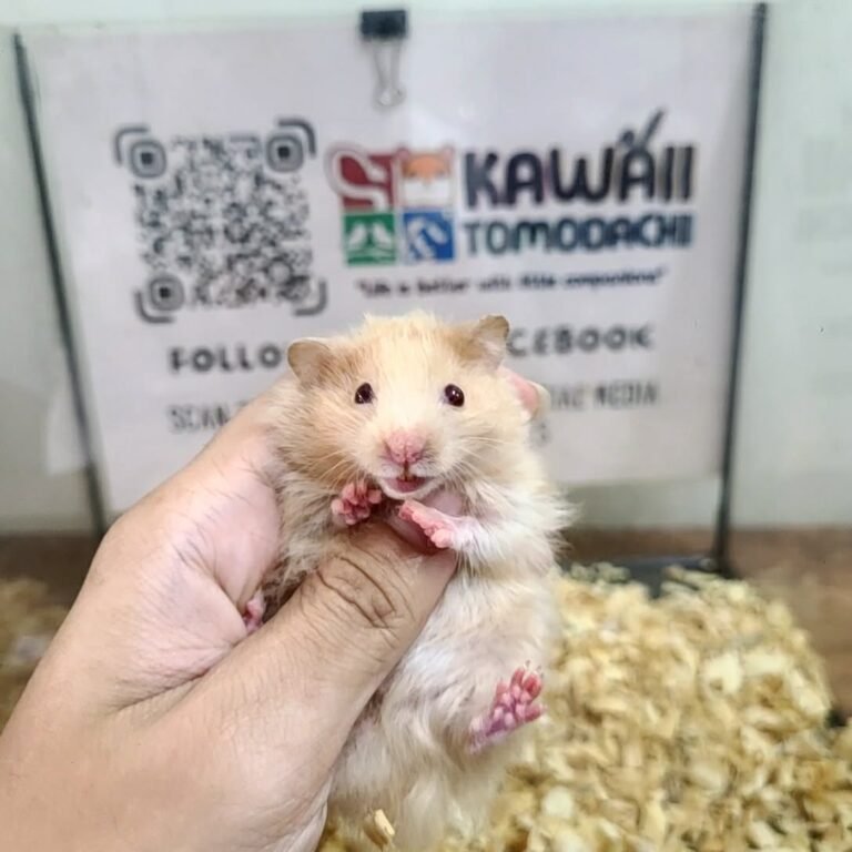 439c2b75-3300-4f43-b128-b131913a3f06