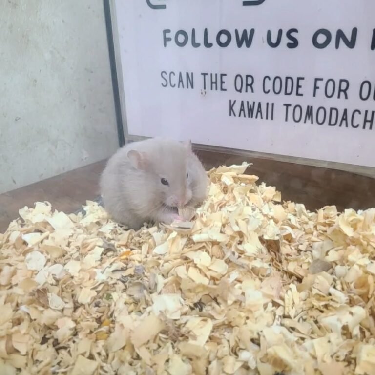 46e220cb-5ae5-46d4-8ced-fae49b94d97e