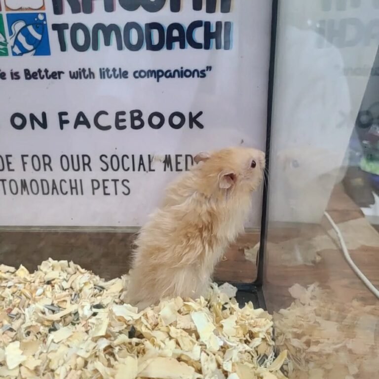 4874edf4-f4ab-4fe0-93de-8f8390afbc59