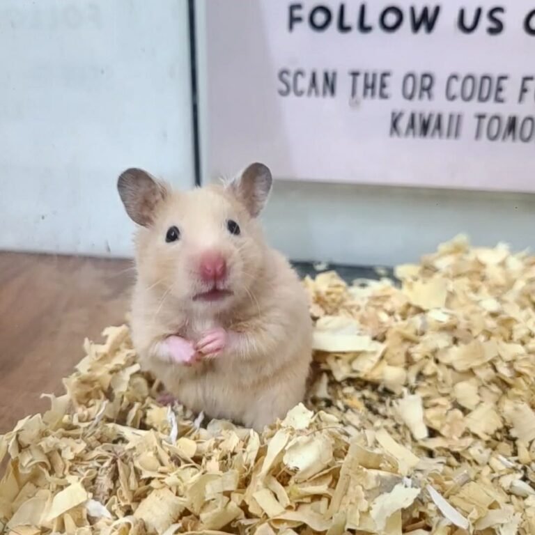 49c4fd7a-616f-4c93-bd5c-455b4b83183b