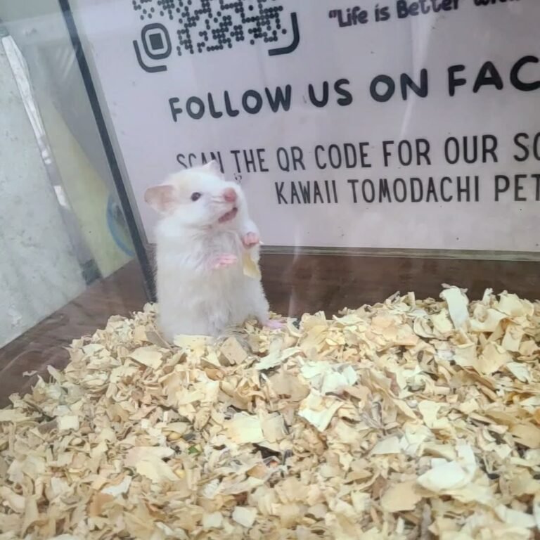 4a2b2dd3-3990-495a-8af2-912d2e9bc4dc