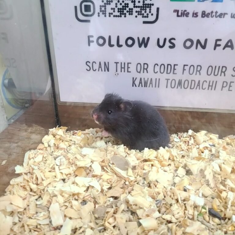 4ae2f079-324d-4d63-a1a7-a8ab7aae7d7a