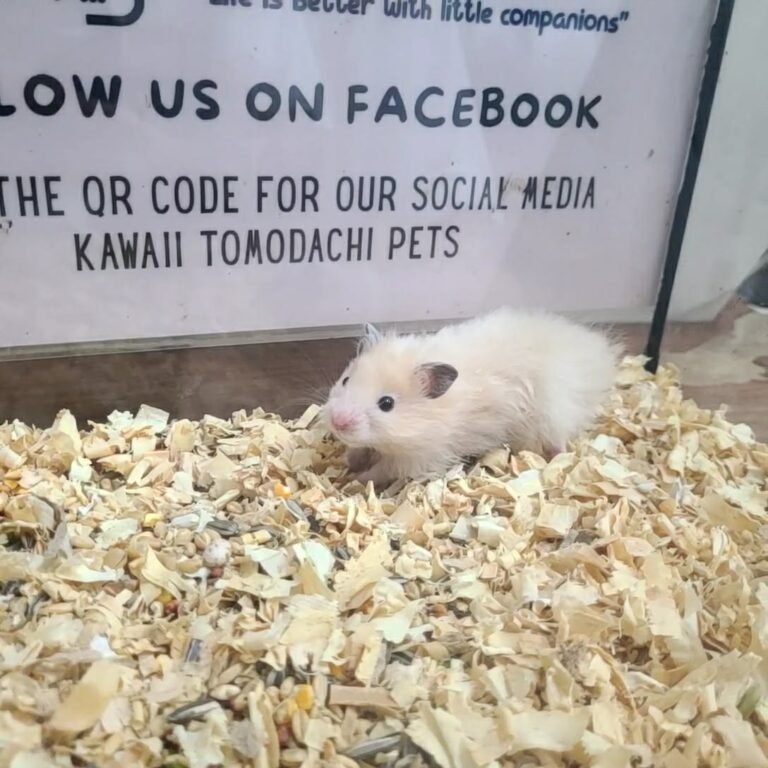 4dac0230-3710-4656-88cd-ffe153c552ec