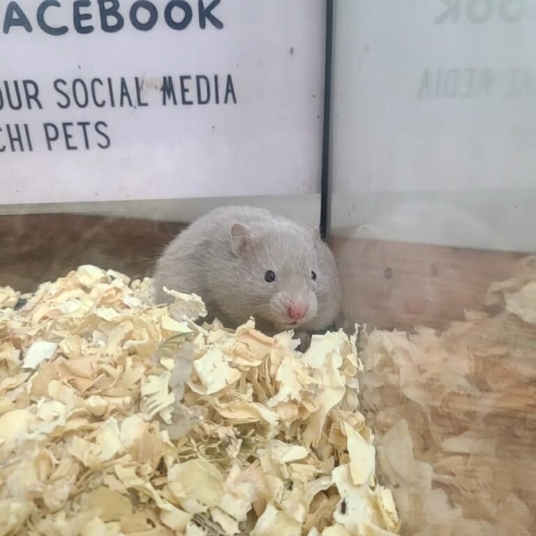 4dd86c29-8fa9-4ad1-8d26-97838011634d