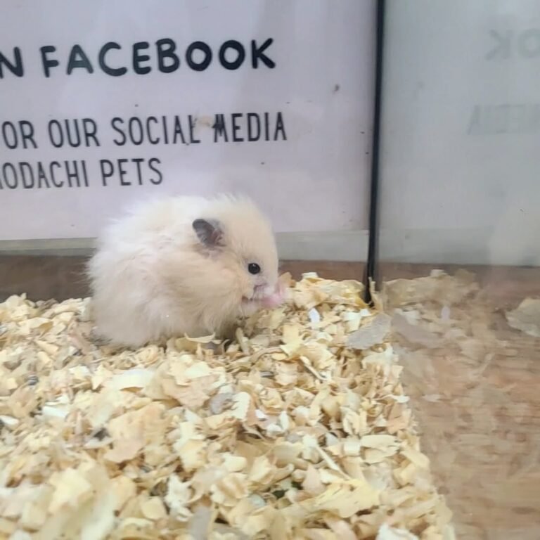 5190cba1-6a55-4fc1-86d0-b6d16817ead8