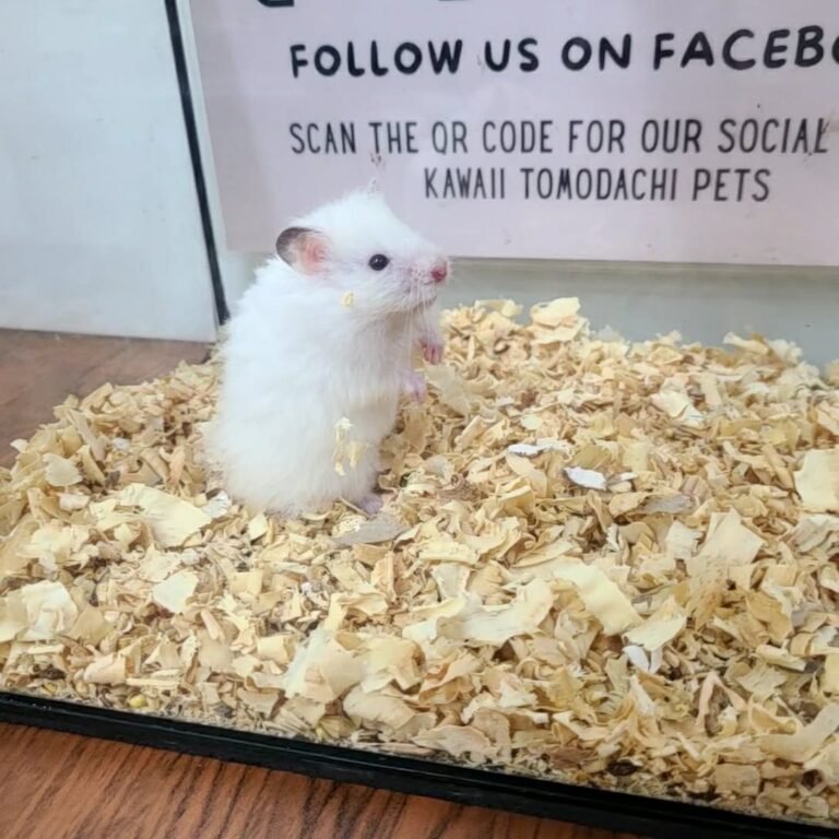 55f4a824-1f4f-4e35-bcde-a143046fa6dd