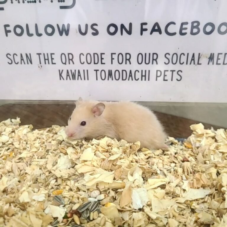 5e9f3f08-2b2f-4323-850f-63ba673997c4