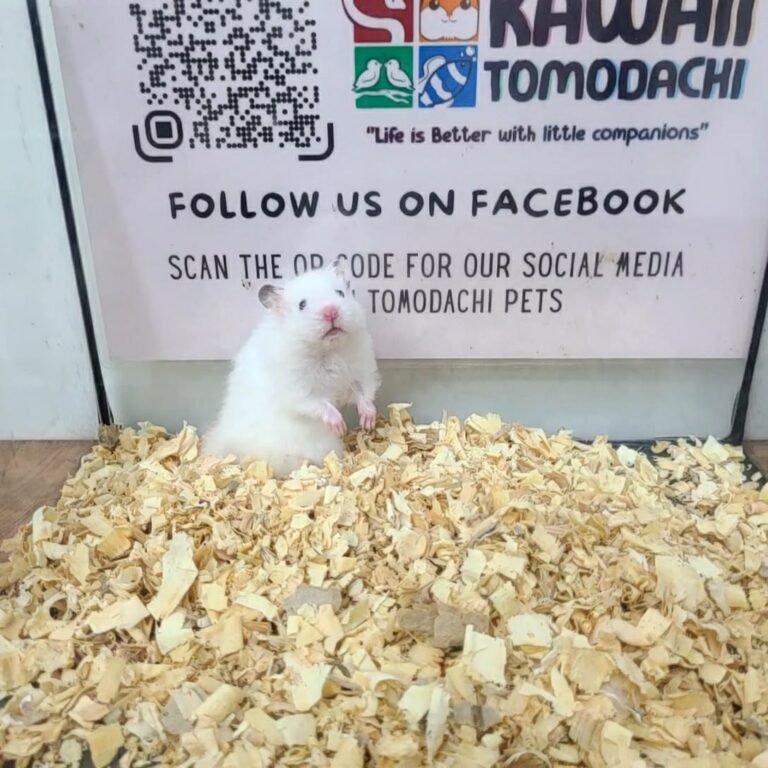 5f9d609a-06f9-404d-94d0-35ed893d0a6e