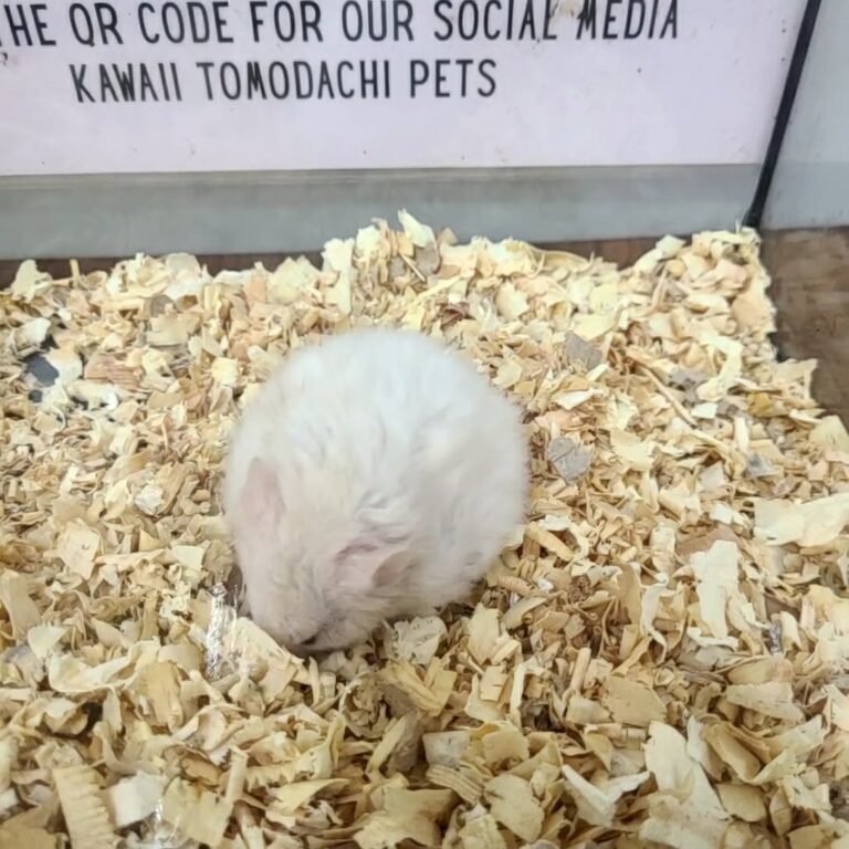 615b602f-f4bd-4c30-9051-a6c50a9ba29c