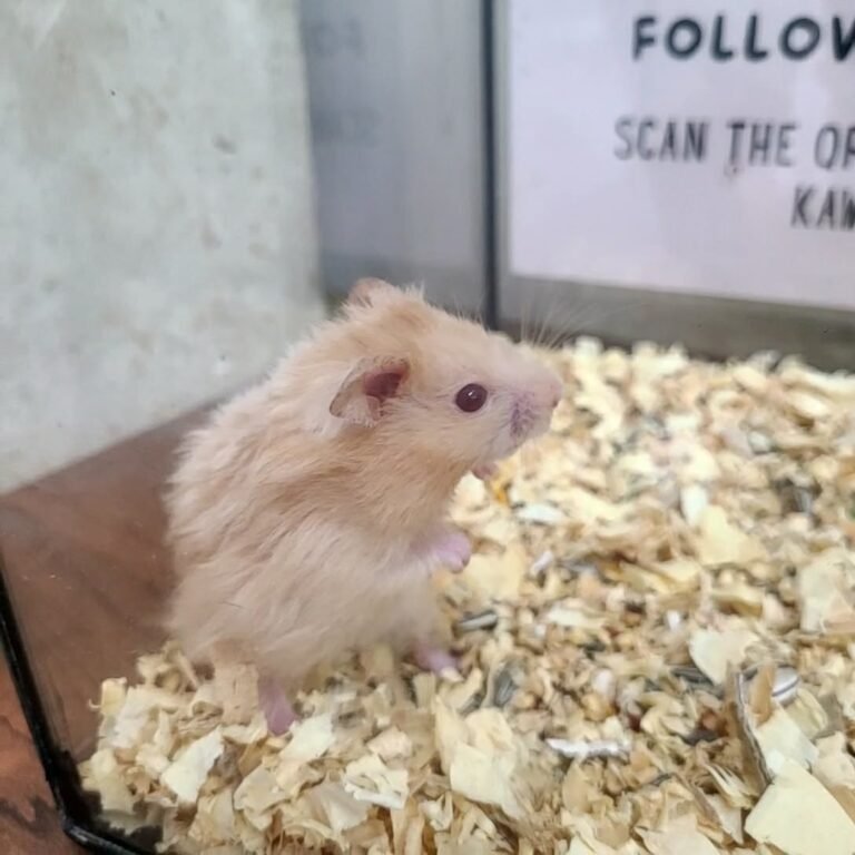 61acc4ad-6865-472d-9782-78beb3179f19