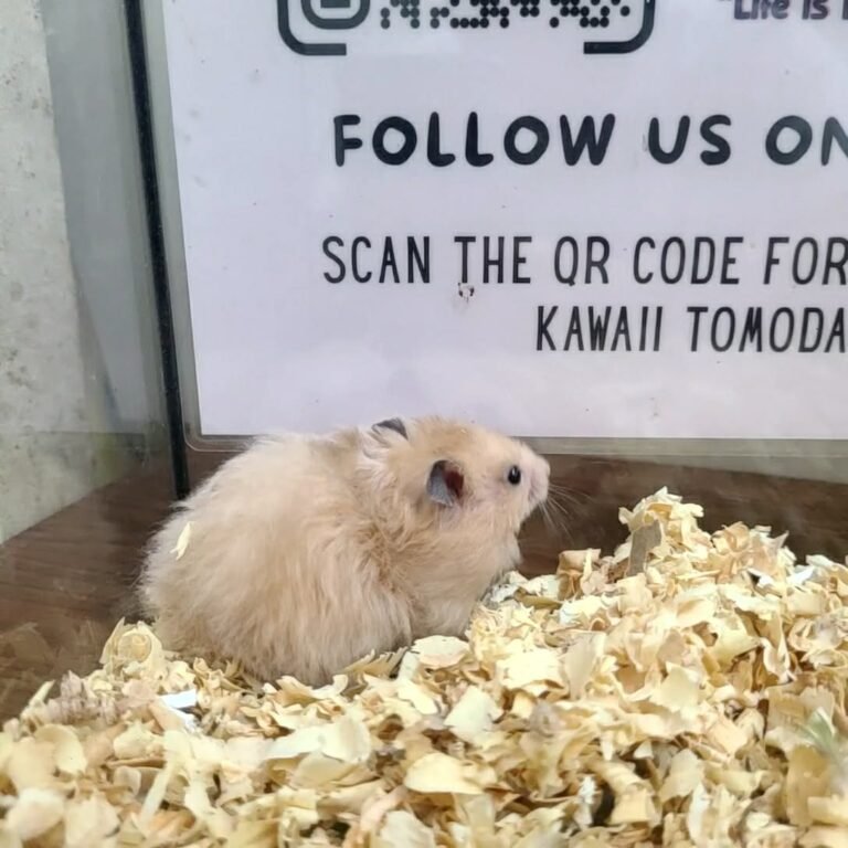 6ac9b3f2-2604-4302-b315-fa32c419da7d