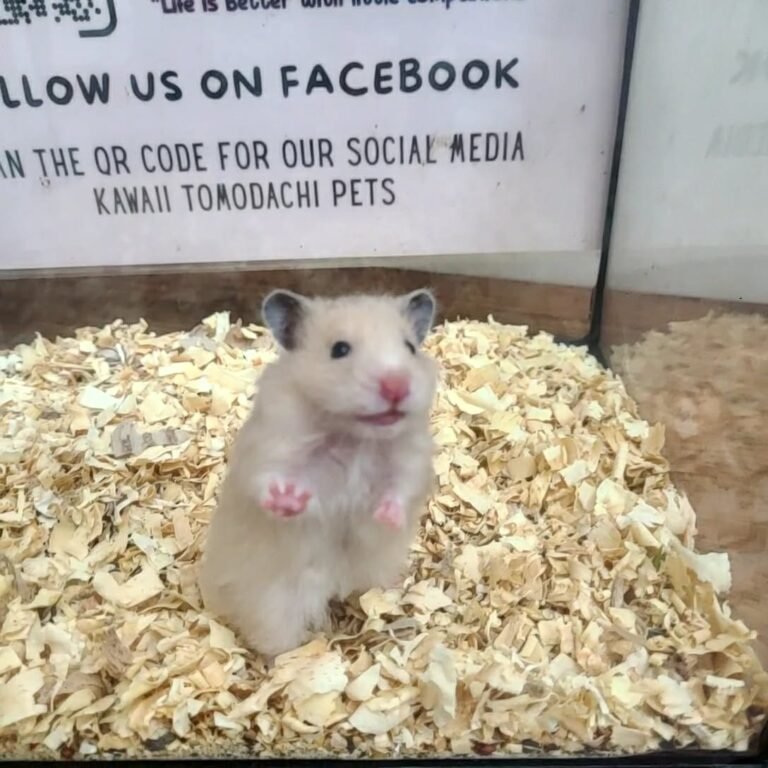 6bcd166f-ee18-4f07-ac54-5776f3b6c551