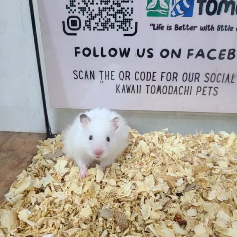 75df7131-ade0-4aad-89cb-4a587c154fdb