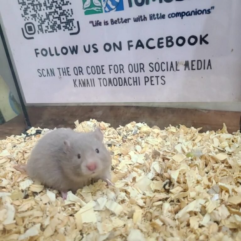 75e84618-190b-45ed-bad1-475e5af16b69