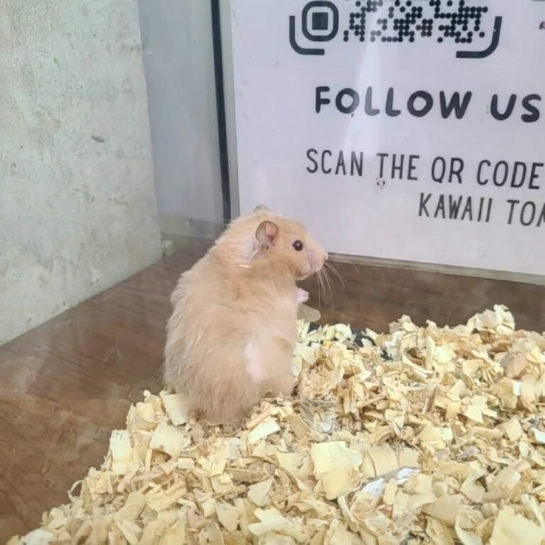 7b963680-1c54-4336-aa91-a447129099ed