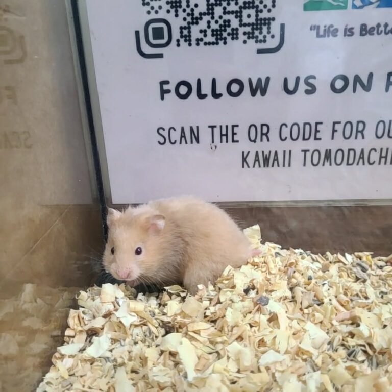 7d613d28-ff43-4ec5-a1be-982d75893796