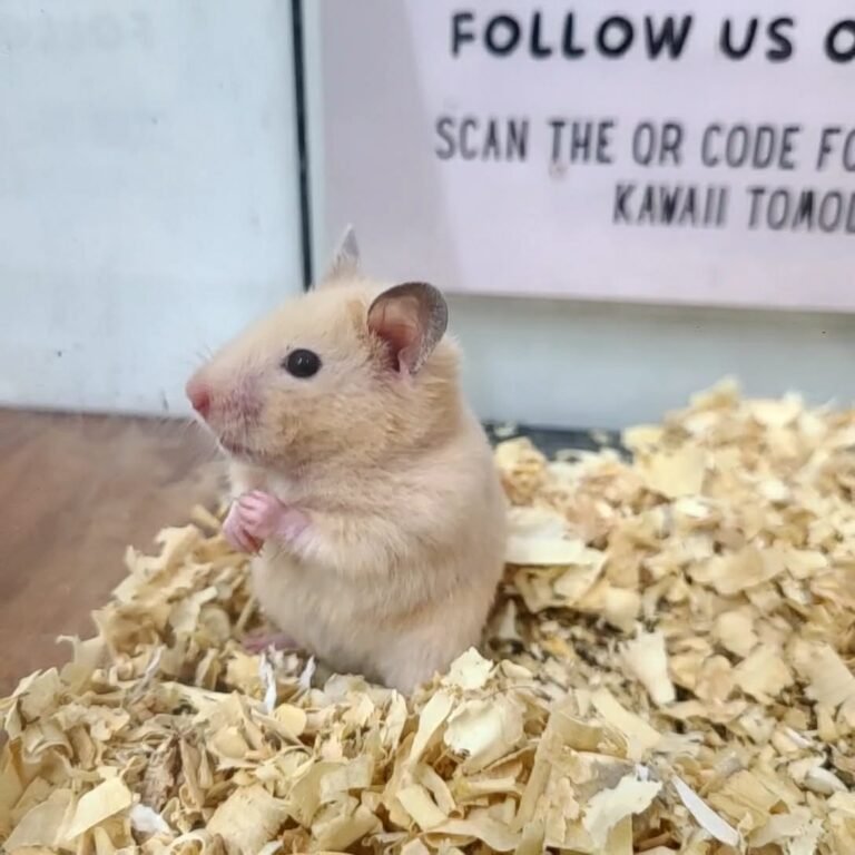 810c3382-83a9-4117-a977-1e2986586128