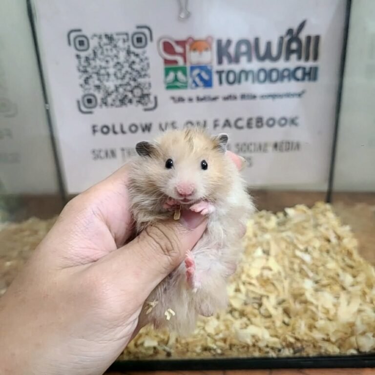 8845c616-b1ea-4606-b525-77507fab7f45